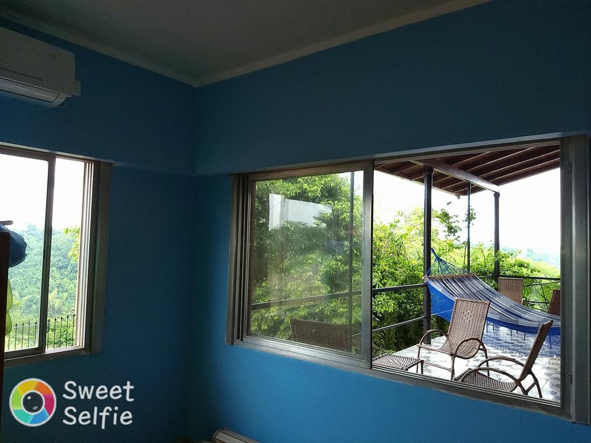 Butterfly Hostel Puerto Iguazu Bagian luar foto