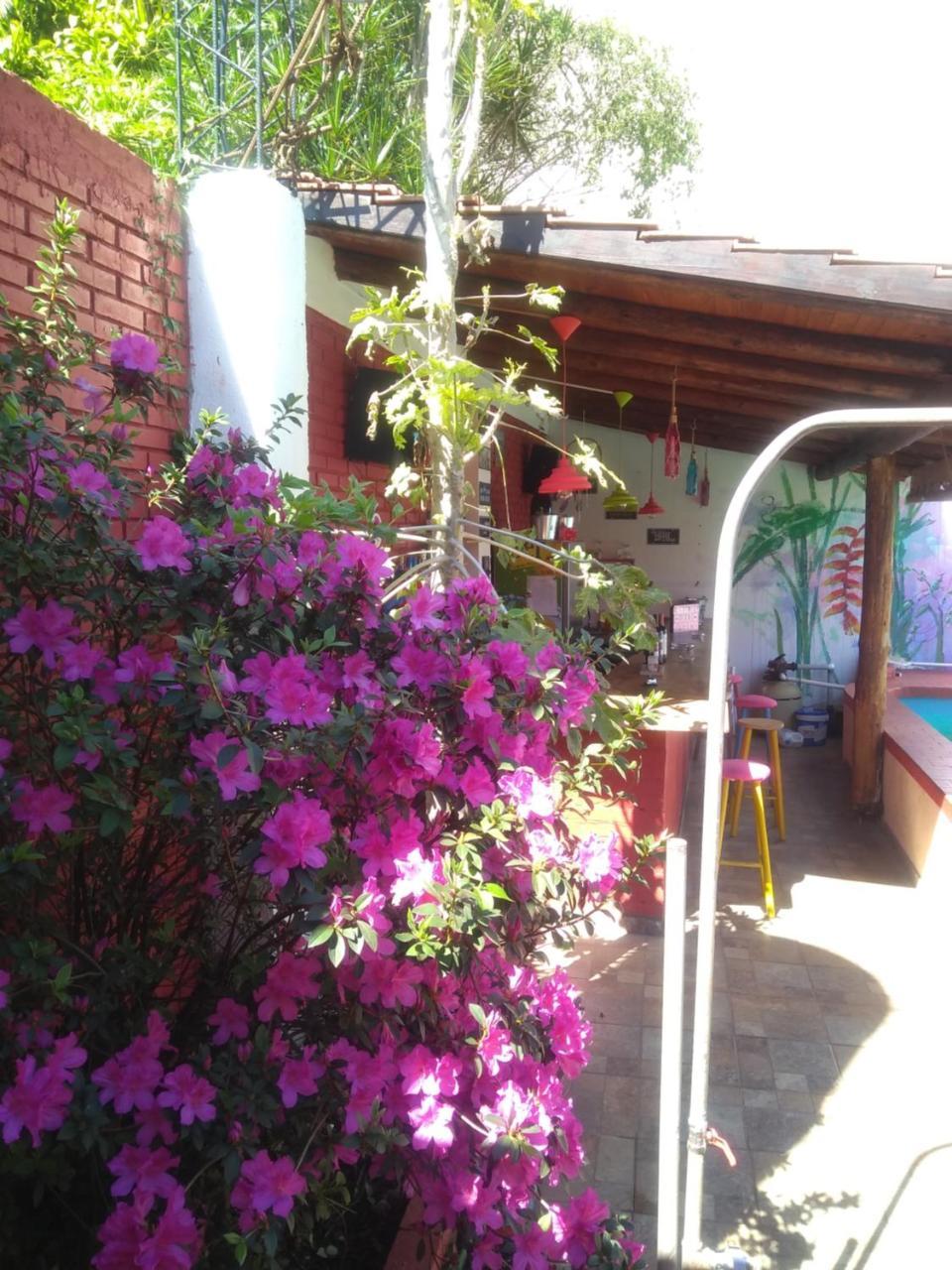 Butterfly Hostel Puerto Iguazu Bagian luar foto